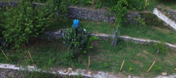 2 rooms House in Santa Venerina, Italy No. 263914 4