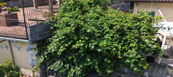 2 rooms House in Santa Venerina, Italy No. 263914 29