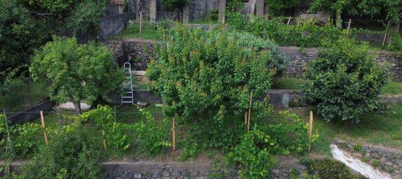 2 rooms House in Santa Venerina, Italy No. 263914 28