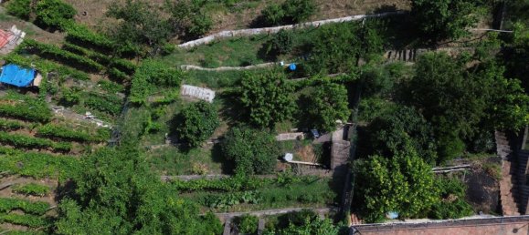 2 rooms House in Santa Venerina, Italy No. 263914 25