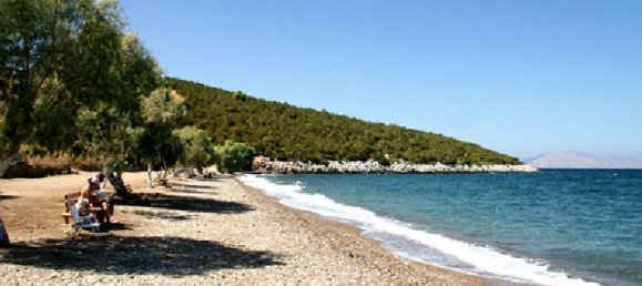 9200m² Hotel in Vilia, Greece No. 5836 2