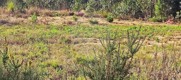  Land in Torres Vedras, Portugal No. 69989 2