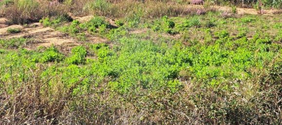  Land in Torres Vedras, Portugal No. 69989 9