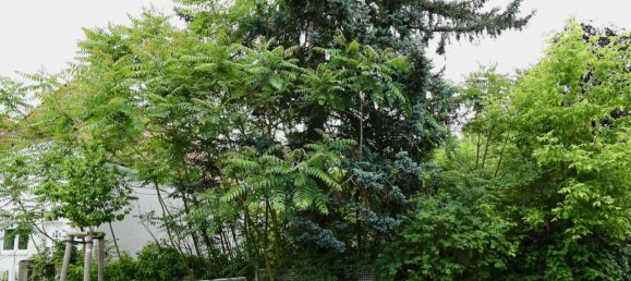 Grundstück in Hakenfelde, Germany, Nr. 235523 2