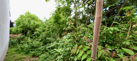 Grundstück in Hakenfelde, Germany, Nr. 235523 3