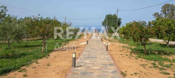 5 bedrooms Commercial property in Koropi, Greece No. 277 20