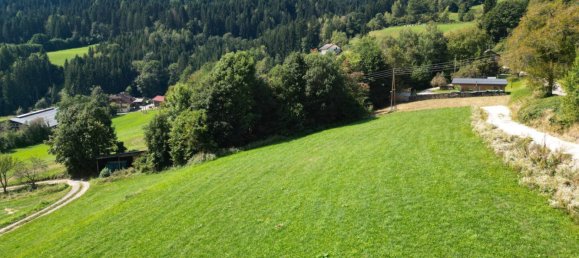 Grundstück in Himmelberg, Austria, Nr. 66837 4