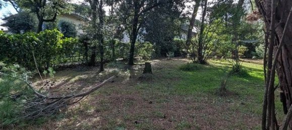 8-Zimmer Villa in Massa, Italy, Nr. 217547 17