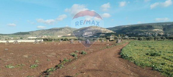 Terrain à Comiso, Italy 12000m² No. 55862 16