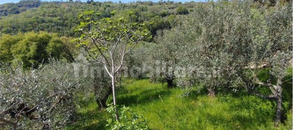 3 Schlafzimmer Haus in Gualdo Cattaneo, Italy, Nr. 265402 6
