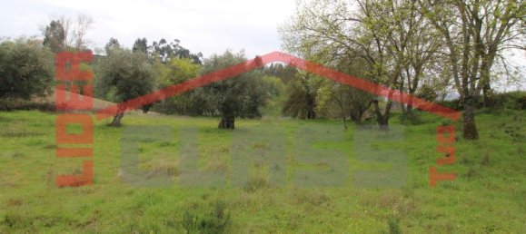 30764m² Land in Vila Flor, Portugal No. 221223 10