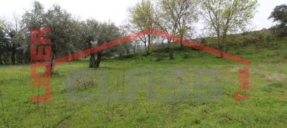 30764m² Land in Vila Flor, Portugal No. 221223 11