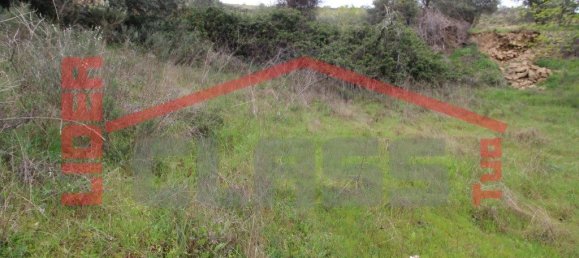 30764m² Land in Vila Flor, Portugal No. 221223 7