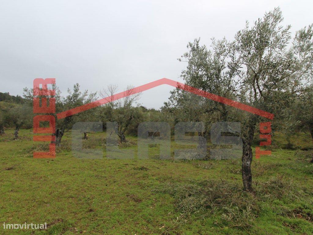  قطعة أرض في Vila Flor, Portugal 30764متر مربع رقم 221223