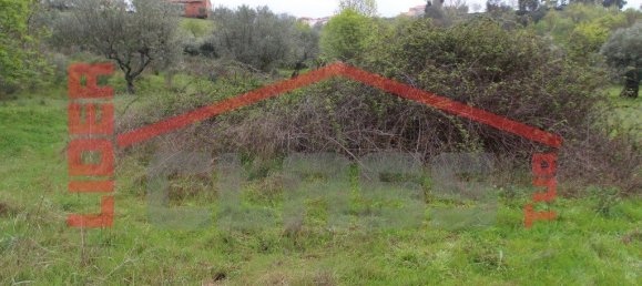 30764m² Land in Vila Flor, Portugal No. 221223 8