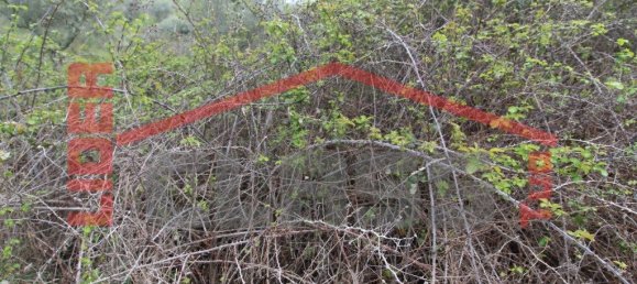 30764m² Land in Vila Flor, Portugal No. 221223 9