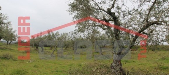 30764m² Land in Vila Flor, Portugal No. 221223 2