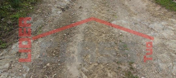 30764m² Land in Vila Flor, Portugal No. 221223 6