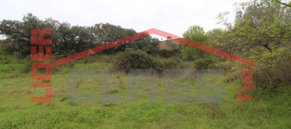 30764m² Land in Vila Flor, Portugal No. 221223 5