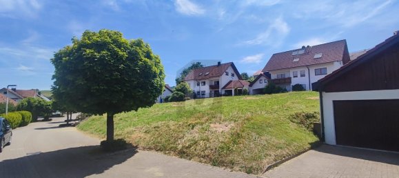  Land in Ortenaukreis, Germany No. 273865 2