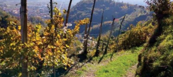 47m² Commercial property in Farra di Soligo, Italy No. 265630 12