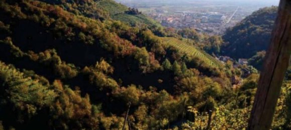 47m² Commercial property in Farra di Soligo, Italy No. 265630 11