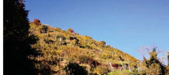 47m² Commercial property in Farra di Soligo, Italy No. 265630 9