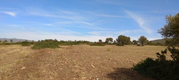 Hotel in Polygyros, Greece 40000m², Nr. 6021 2