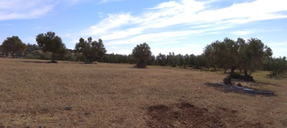 Hotel in Polygyros, Greece 40000m², Nr. 6021 3