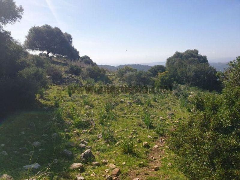 54704m² Land in Casares, Spain No. 230318
