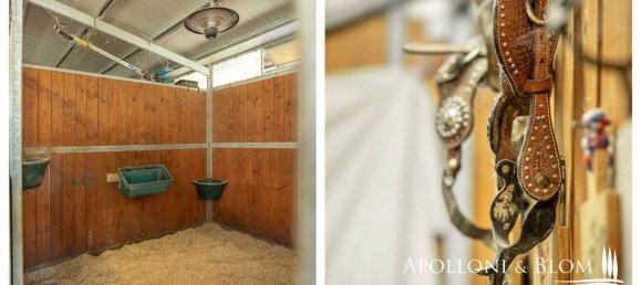 13 bedrooms House in Umbertide, Italy No. 357434 42