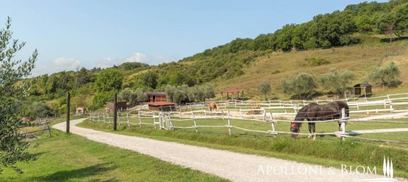 13 bedrooms House in Umbertide, Italy No. 357434 37