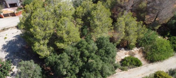  Land in Denia, Spain No. 134499 15