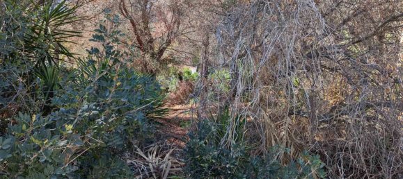  Land in Denia, Spain No. 134499 18