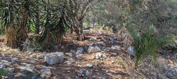  Land in Denia, Spain No. 134499 20