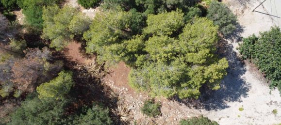  Land in Denia, Spain No. 134499 13