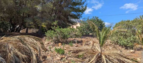  Land in Denia, Spain No. 134499 11