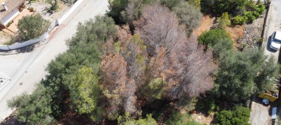  Land in Denia, Spain No. 134499 6