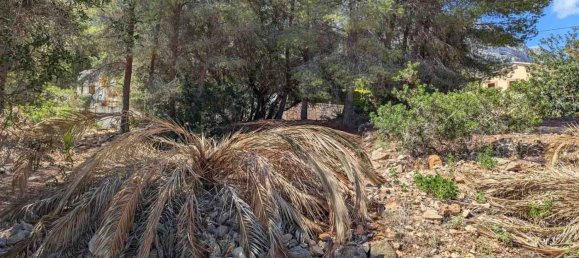  Land in Denia, Spain No. 134499 21