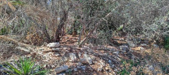  Land in Denia, Spain No. 134499 19