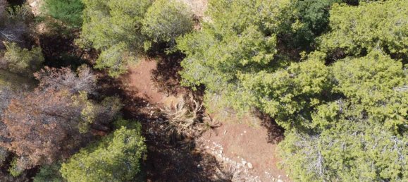  Land in Denia, Spain No. 134499 3