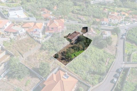 43m² Land in Funchal, Portugal No. 249070