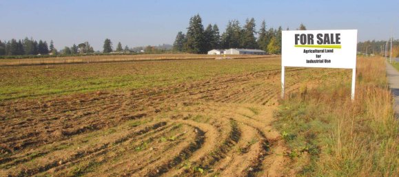 45000m² Land in Chiari, Italy No. 104066 10