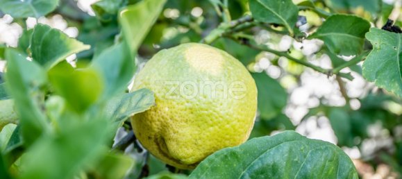 Дом с 4 спальнями в Лагуш, Португалия № 73392 17