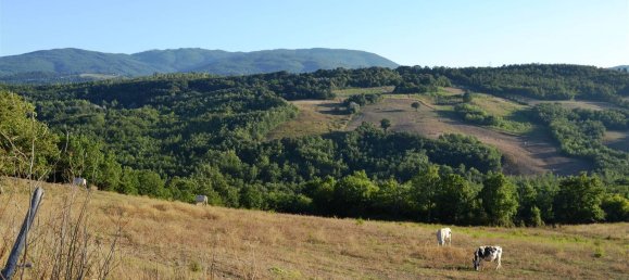 Casa de 11 divisões em Castelnuovo di Val di Cecina, Italy N.º 115863 8