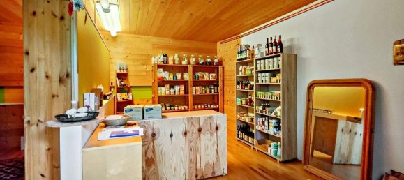 10 rooms House in Unterlamm, Austria No. 178373 28