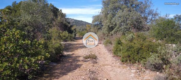 Grundstück in Sao Bras de Alportel, Portugal 56502m², Nr. 86044 6