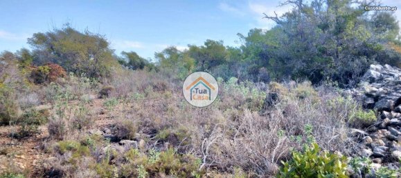 Grundstück in Sao Bras de Alportel, Portugal 56502m², Nr. 86044 3