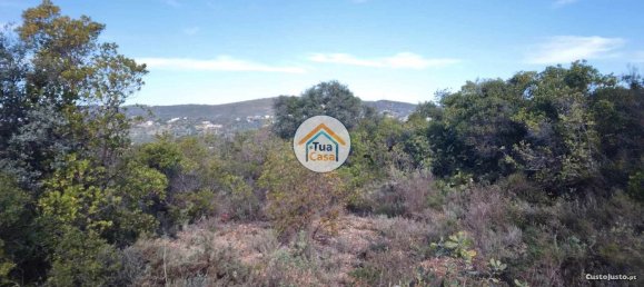 Grundstück in Sao Bras de Alportel, Portugal 56502m², Nr. 86044 10