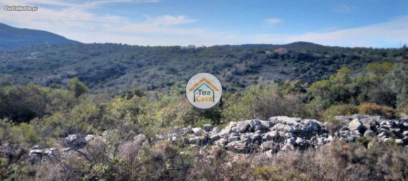 Grundstück in Sao Bras de Alportel, Portugal 56502m², Nr. 86044 19